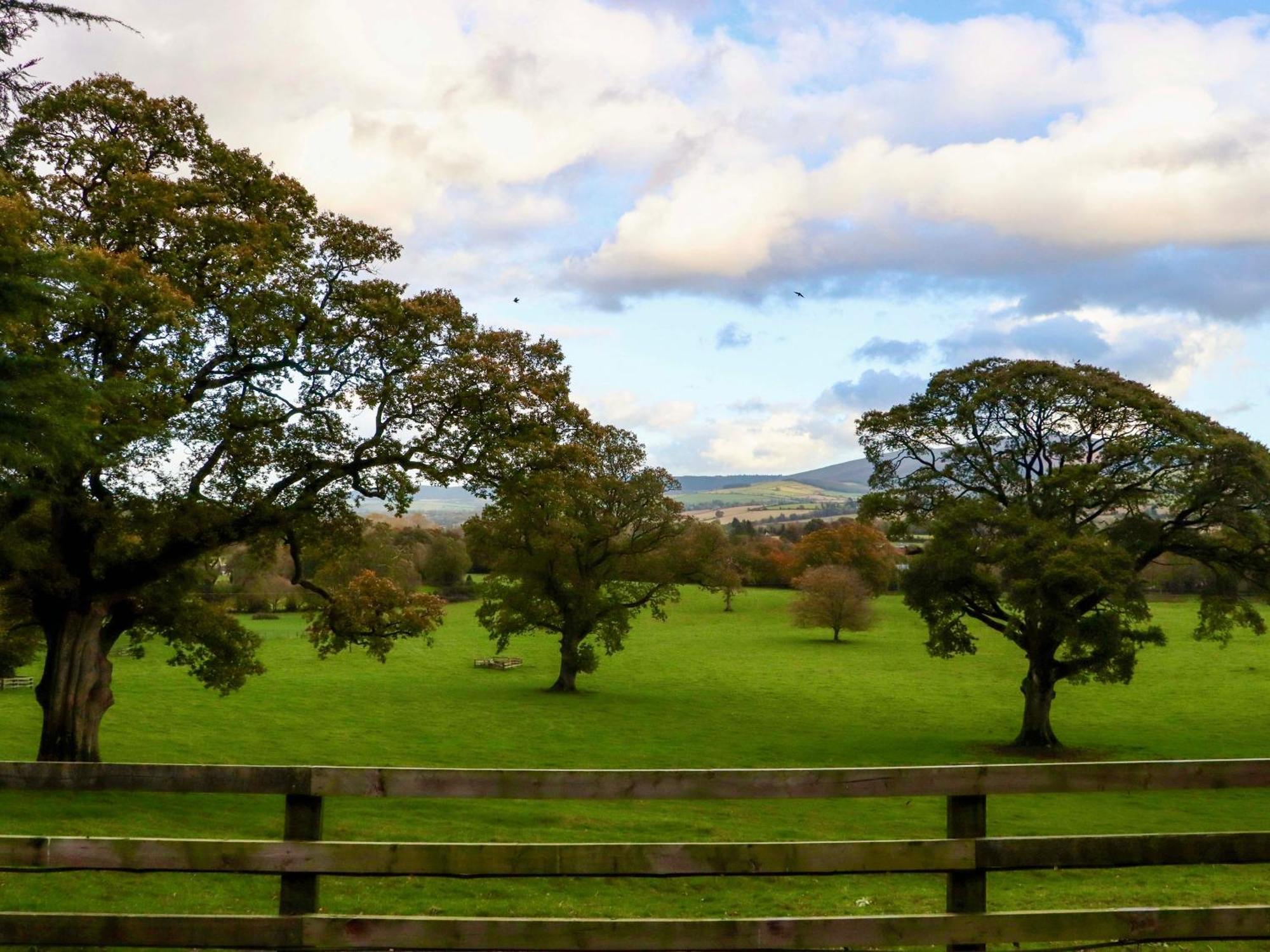 Ballybeg Pod 9 Arklow Bagian luar foto