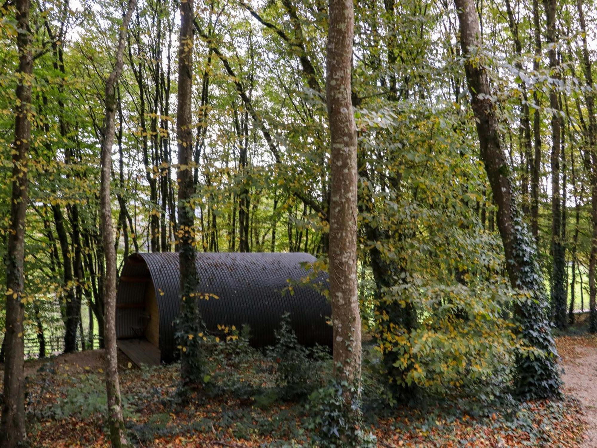 Ballybeg Pod 9 Arklow Bagian luar foto